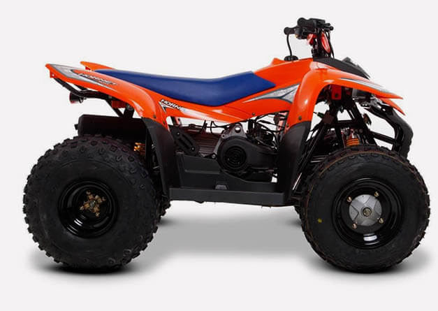 SMC HORNET 100 ORANGE