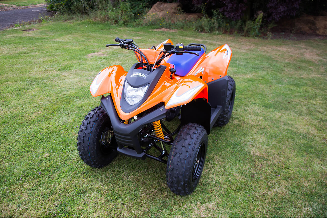 SMC HORNET 100 LifeStyle
